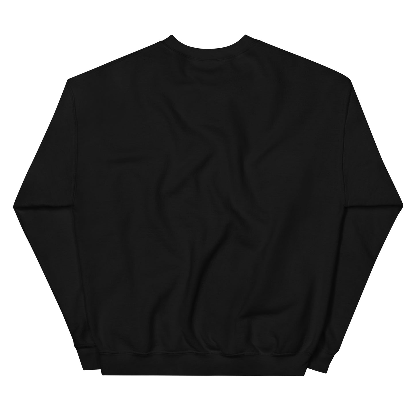 Tejas - Game Day - Unisex Sweatshirt