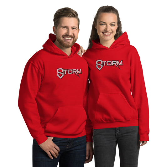 Storm Embroidered Sweatshirt - Unisex Hoodie